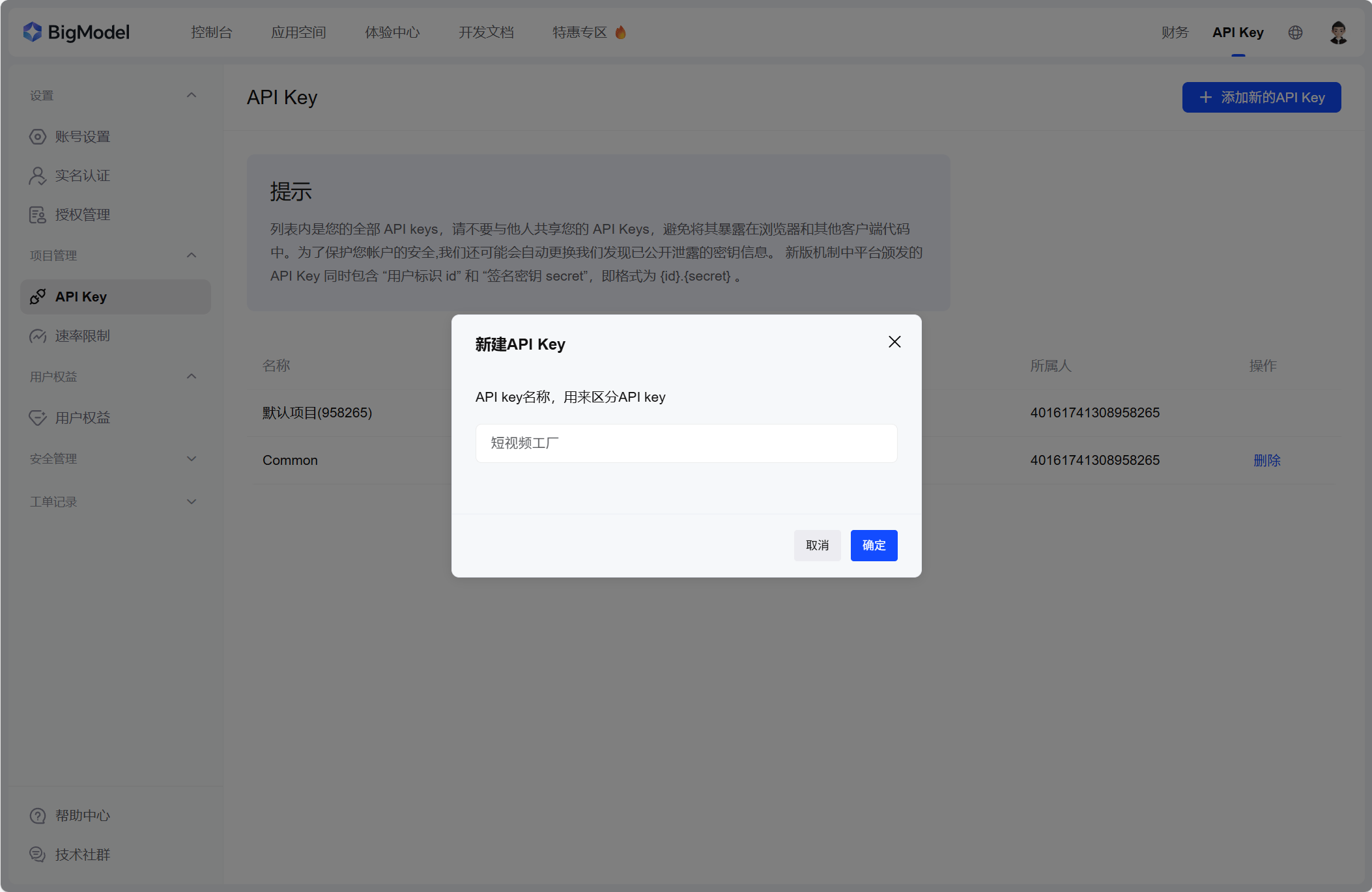 获取 API Key