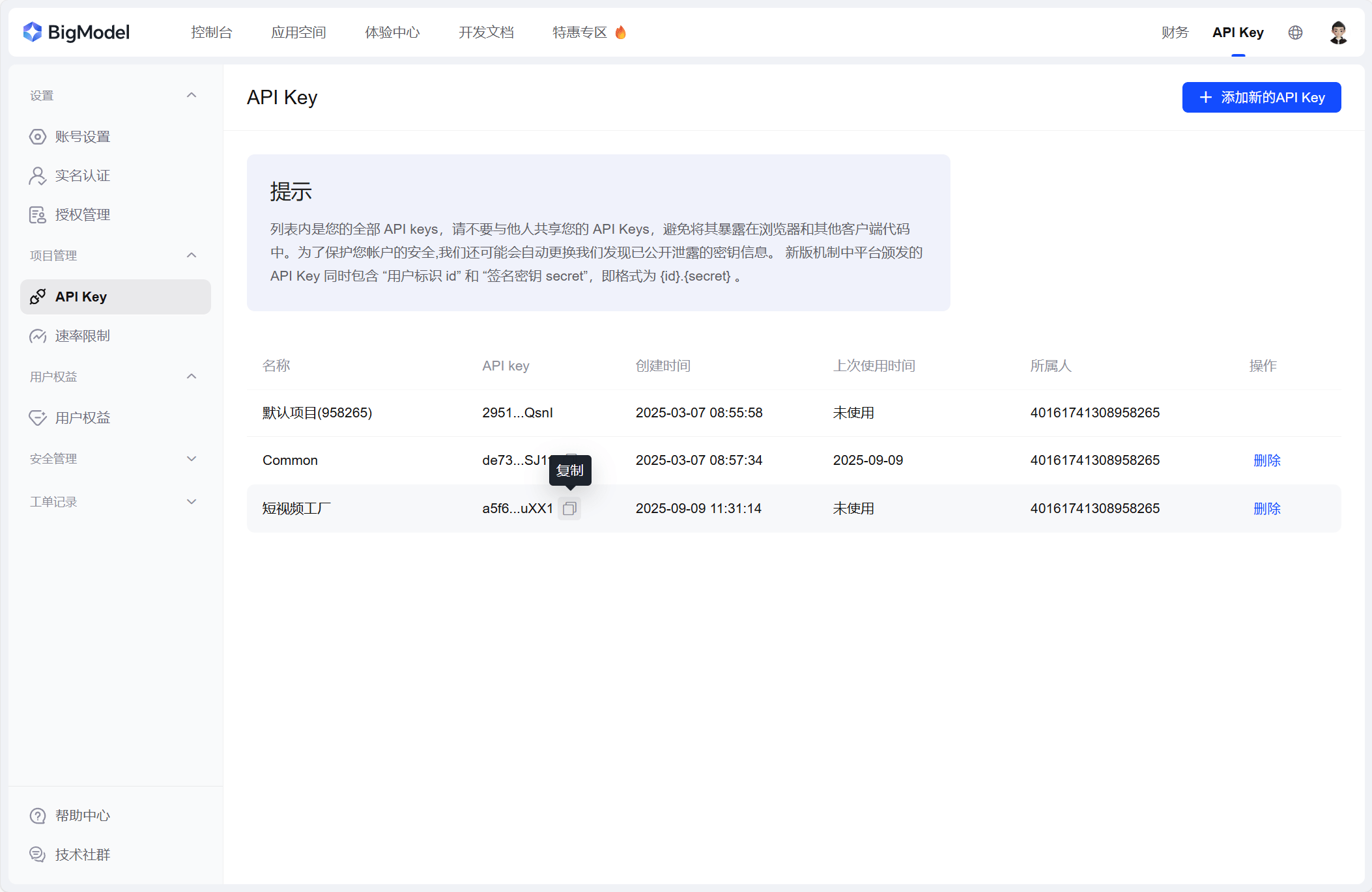 复制 API Key